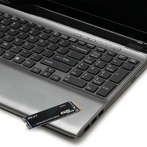 Ổ cứng SSD PNY CS1031 256GB M.2 2280 PCIe NVMe Gen 3x4 (Đọc 1700MB/s - Ghi 1100MB/s)