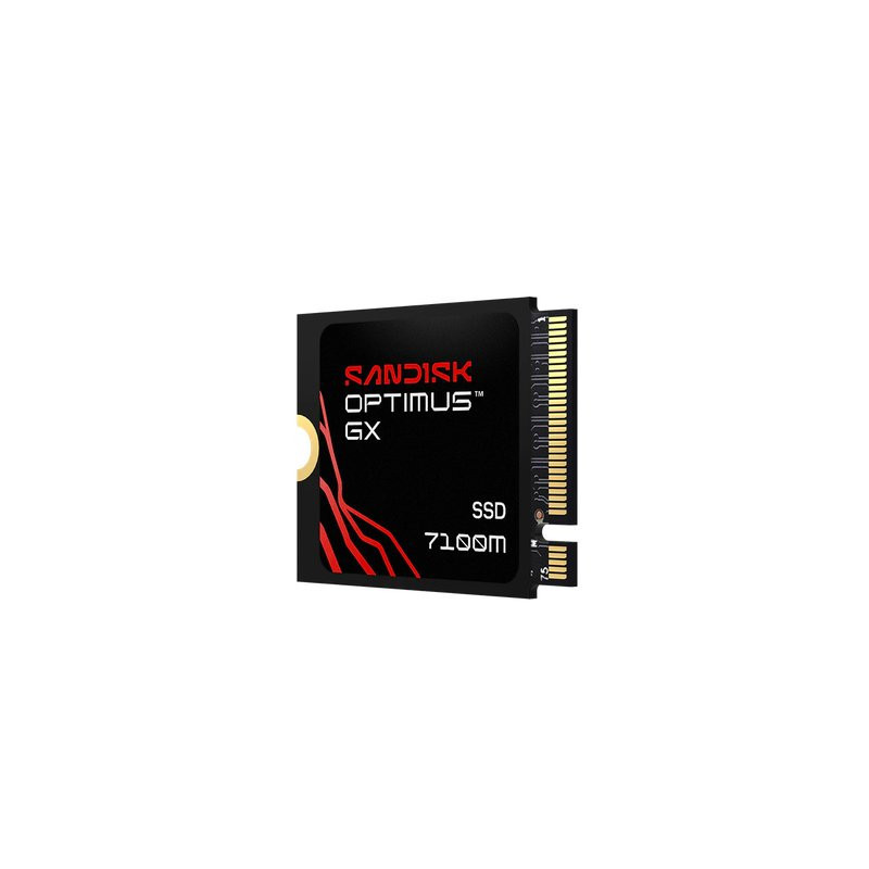 SSD SanDisk Optimus GX 7100M 1TB PCIe 4.0 NVMe M.2 2230 SDSP71100TAT-000E0
