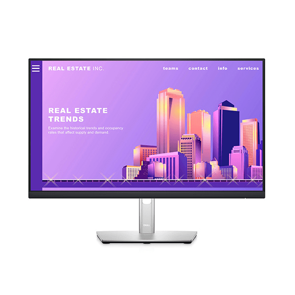 Màn hình Dell P2422H