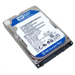 Ổ cứng MTXT Western Blue 500Gb SATA3 8Mb (Khay)