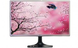 Màn hình LG 24MP66HQ-C 23.8Inch IPS