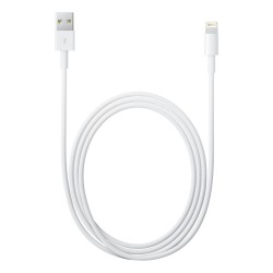 Cáp chuyển Apple USB sang Lightning MD819ZM/A (Chính hãng)