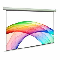 Màn chiếu Điện Dalite PW400ES 400Inch