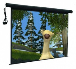Màn chiếu Điện Dalite PW180ES 180 Inch
