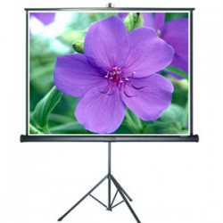 Màn chiếu Chân Grandview PT-H84x84WM 120 Inch