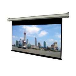 Màn chiếu Điện Dalite P170ES 170Inch