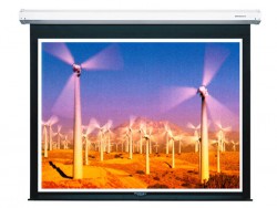 Màn chiếu Điện Dalite P96ES 136 Inch